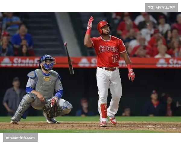 小熊队防守布局调整 内野防守效率显著提升